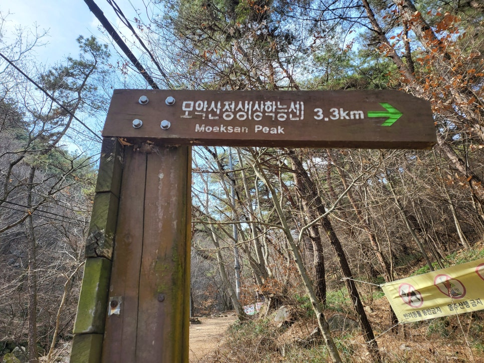 담양현재국수모악점 이미지
