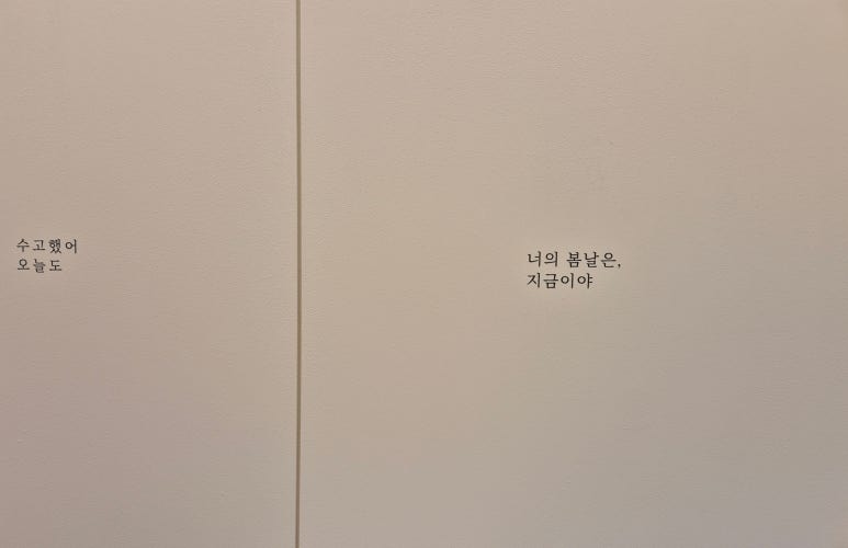 홀리앤졸리 이미지