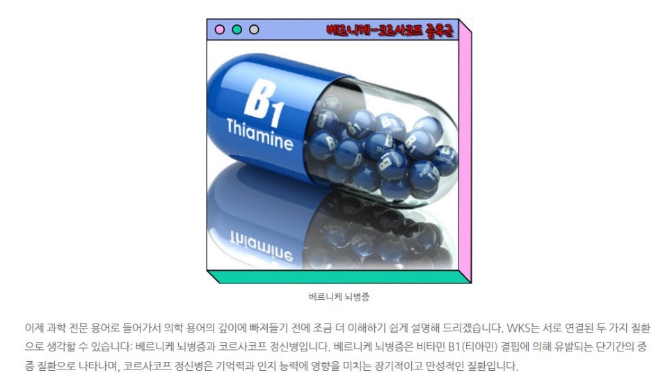 베르니케 이미지
