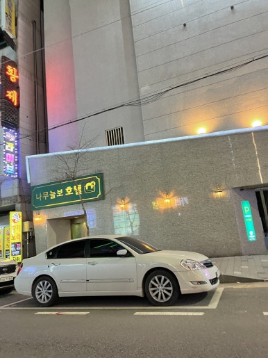 나무늘보호텔 이미지