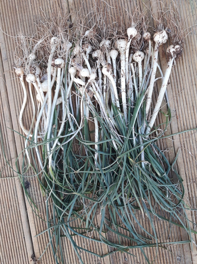 해봄농원 이미지