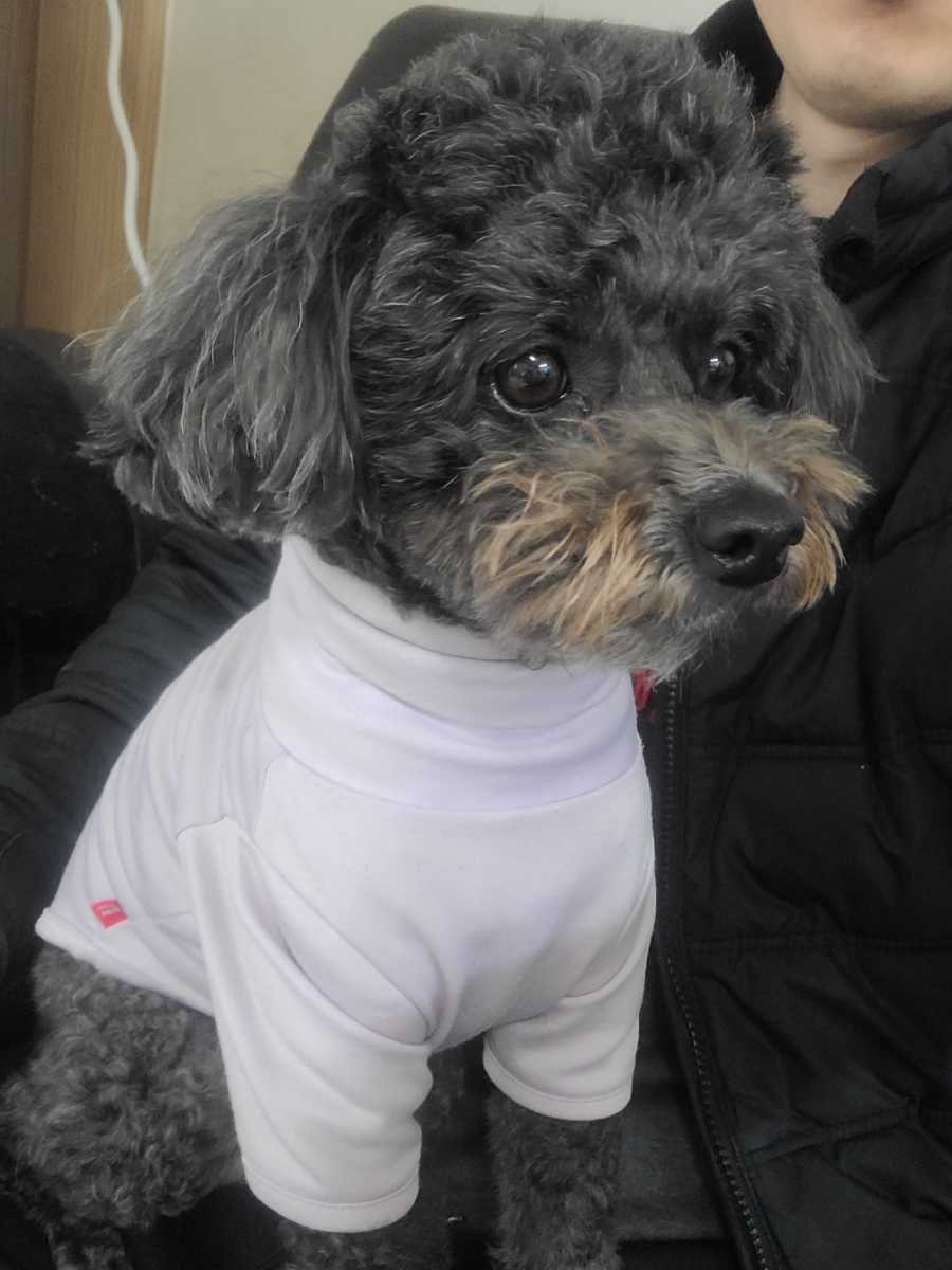 동명식육식당 이미지