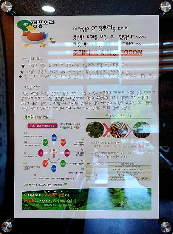 청풍오리 이미지