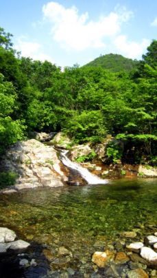 복주산자연휴양림 이미지