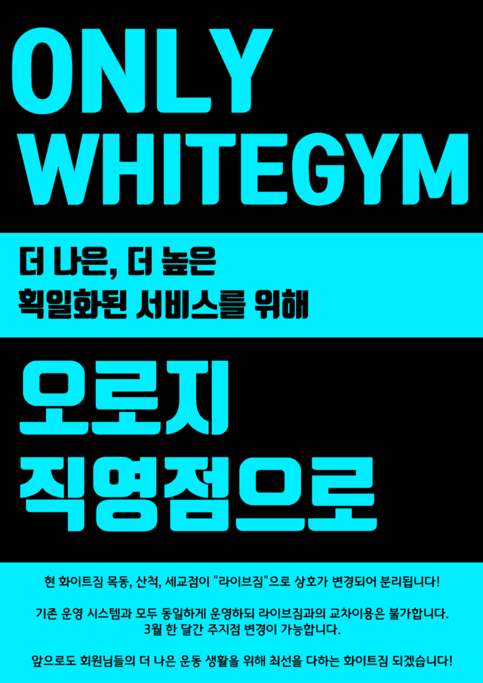 화이트짐 이미지