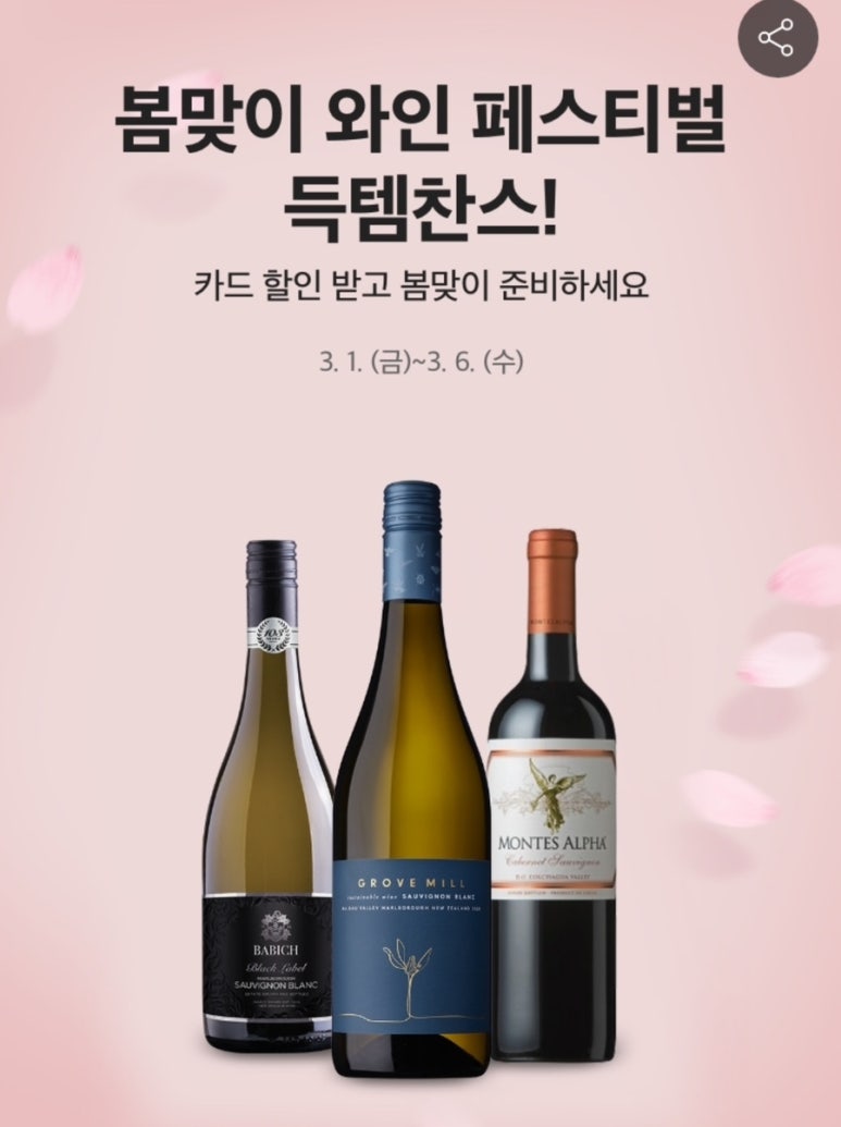 라빈 플러스 이미지