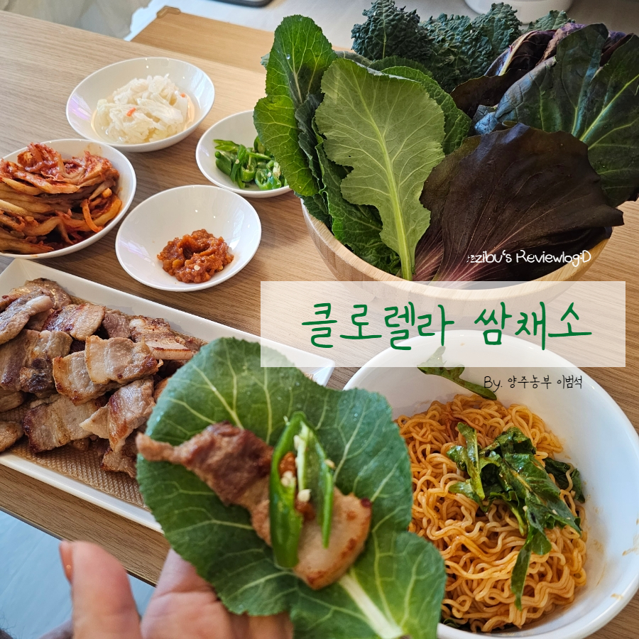 샐러드박스양주 이미지