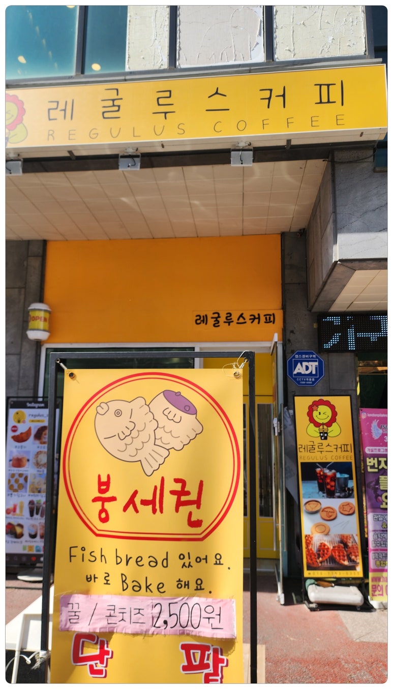 레굴루스 커피 이미지
