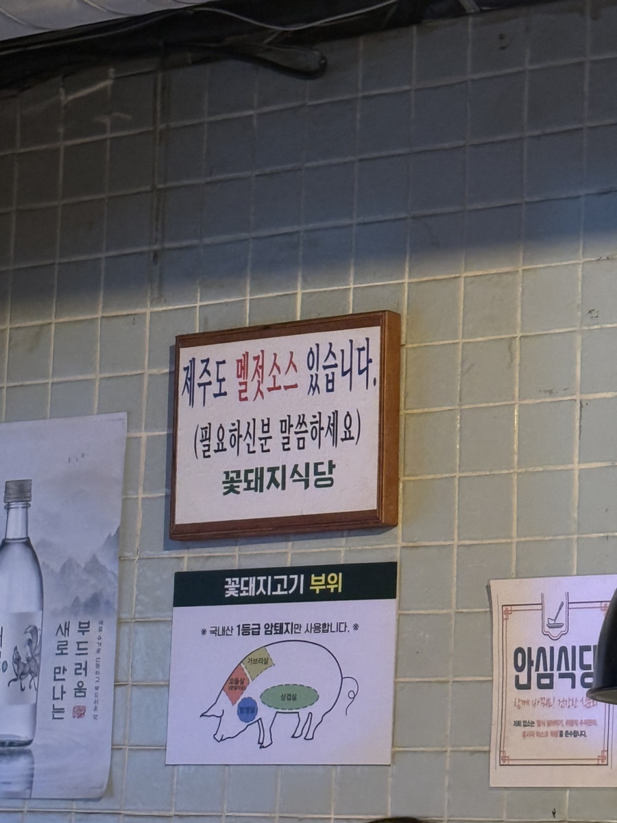 미나리꽃돼지 이미지