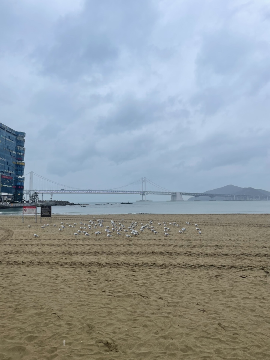 사람사랑짱오락실 이미지