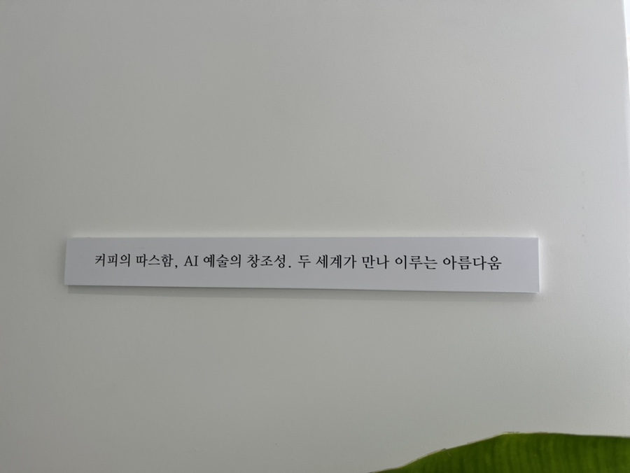 주아 루엘르 이미지