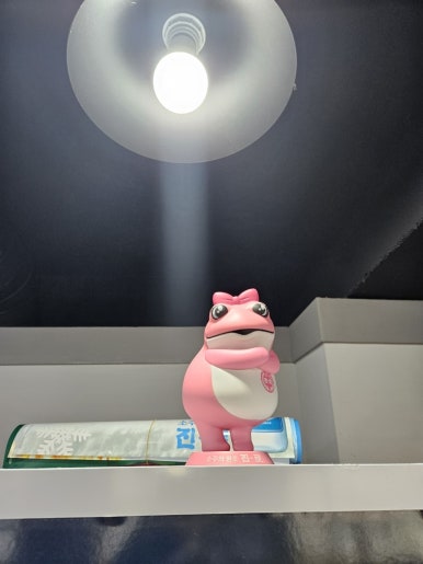 태평한돼지 이미지