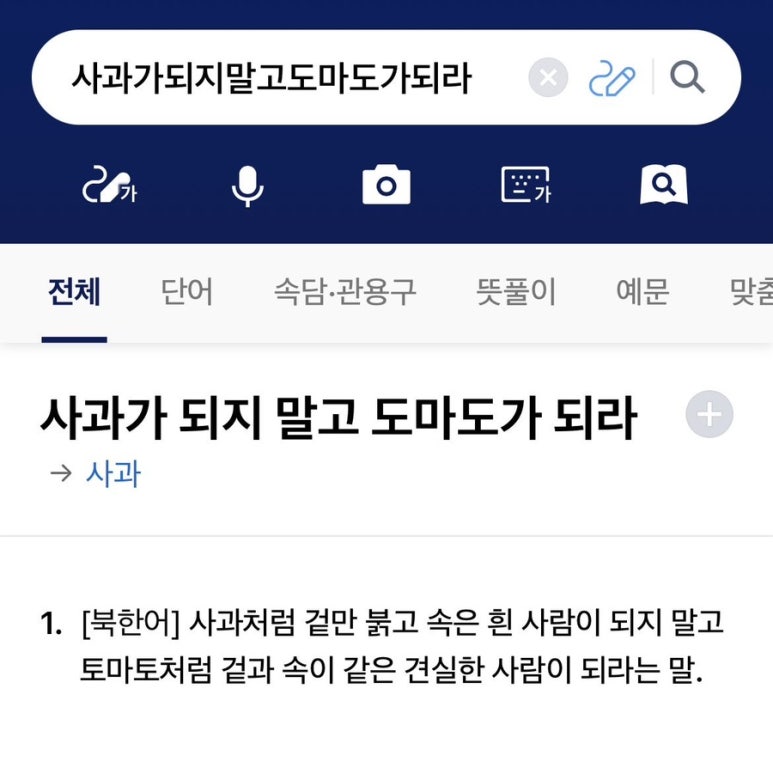 도마도마도 이미지