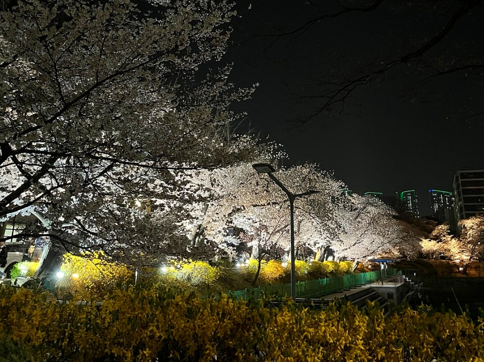 징검다리협동조합 이미지