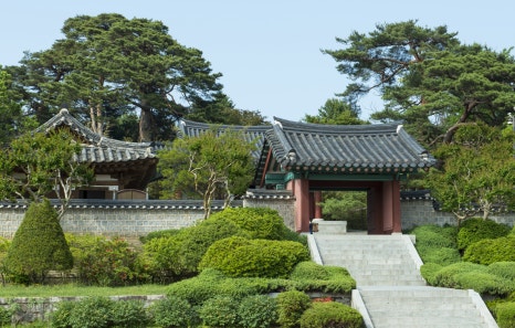한우프라자 이미지