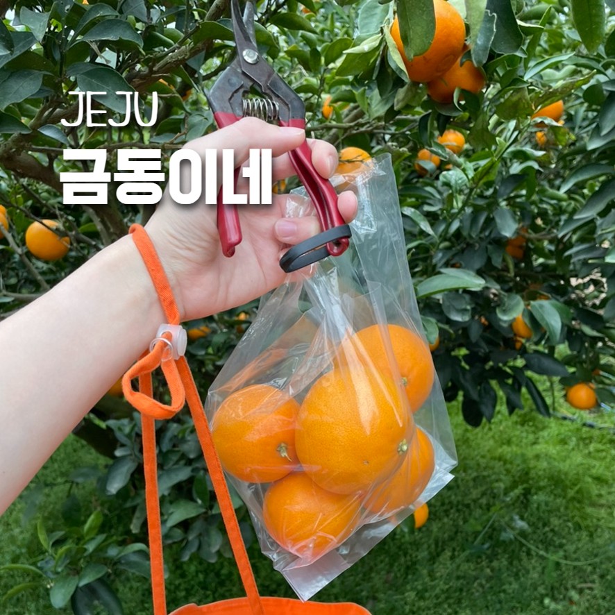 금동농장 이미지