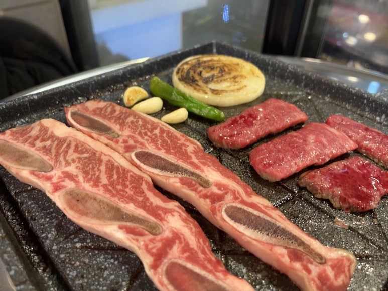 바이소 이미지