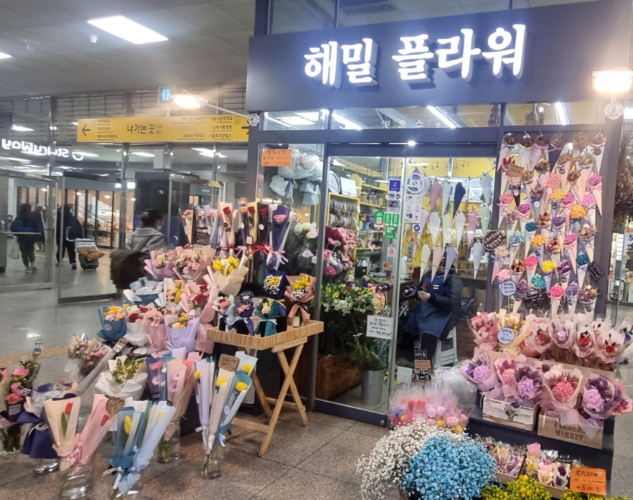 해밀플라워 이미지