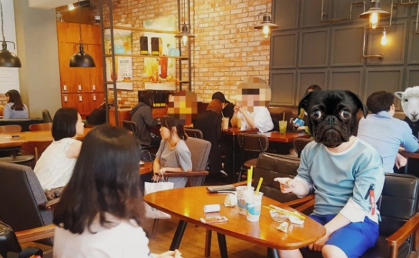 아울커피 이미지