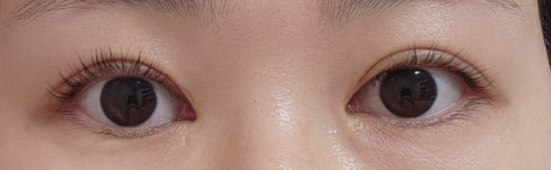 오늘the예쁜눈썹 이미지