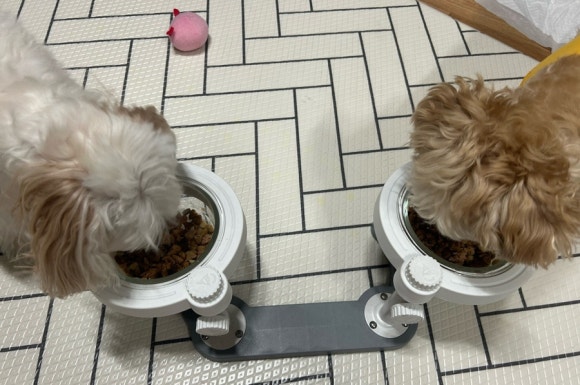 디알메디테크 이미지