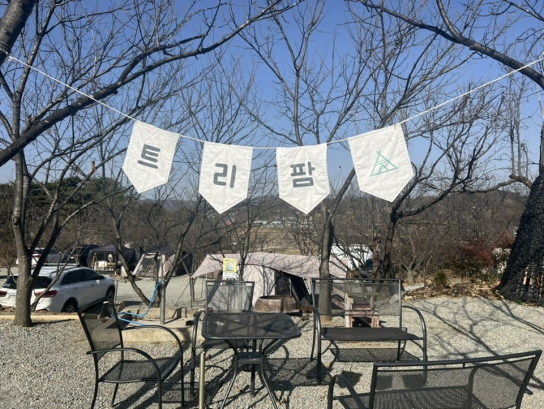 트리팜 관광농원 이미지