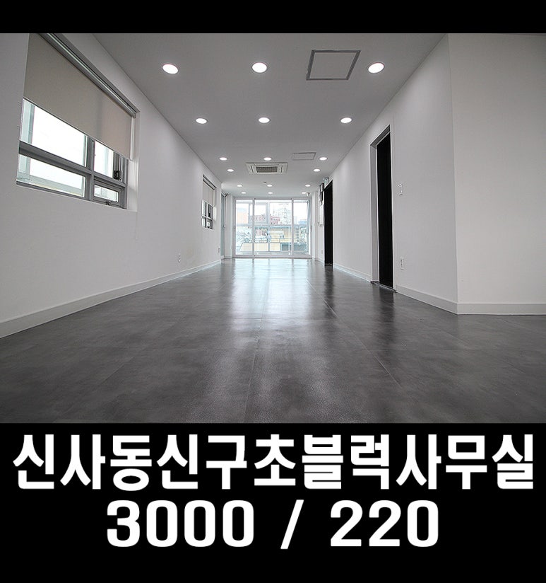 광림여행사 이미지
