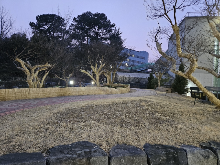 카페브랑코 이미지