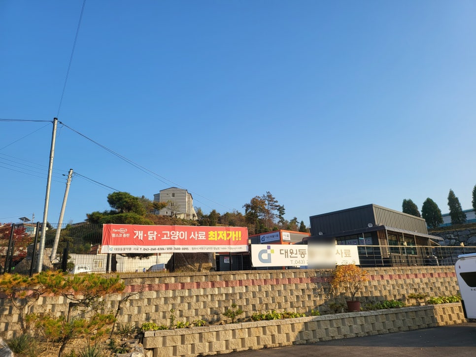 디벳 이미지