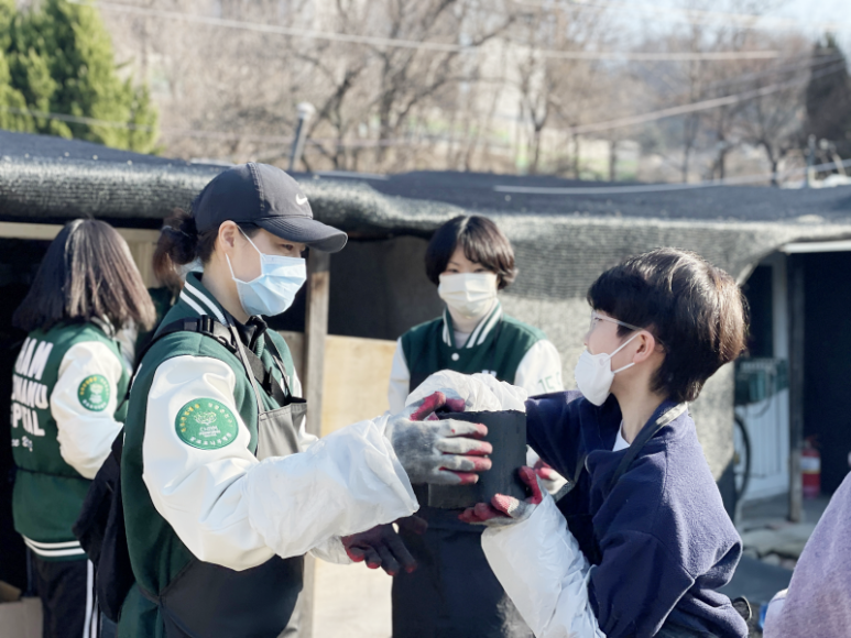 참포도나무병원 이미지