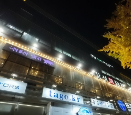 감성돼지 이미지