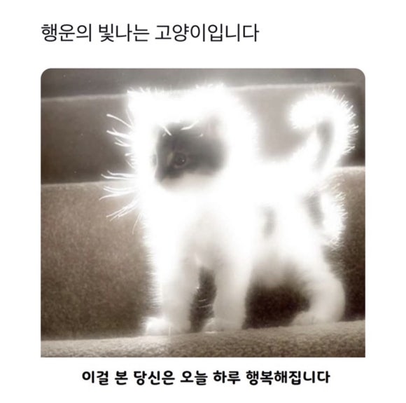 요코소 이미지