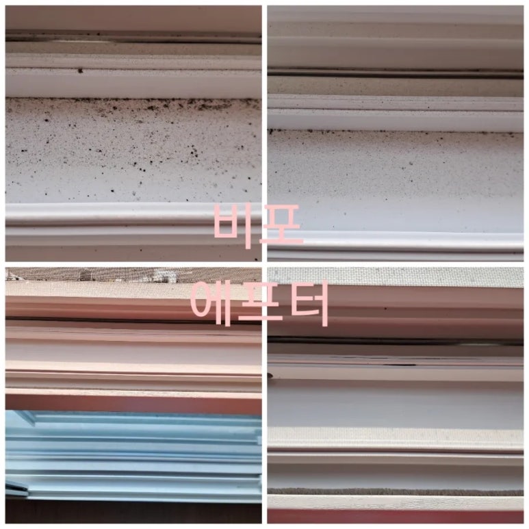 닥터박클린 이미지