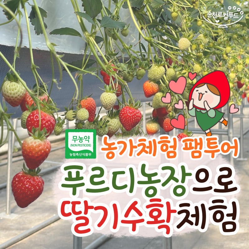 푸르디농장 이미지