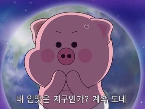 참이쁜돼지 이미지