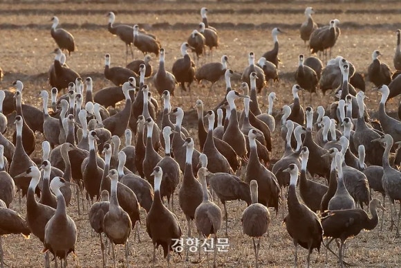 두루미사진관 이미지