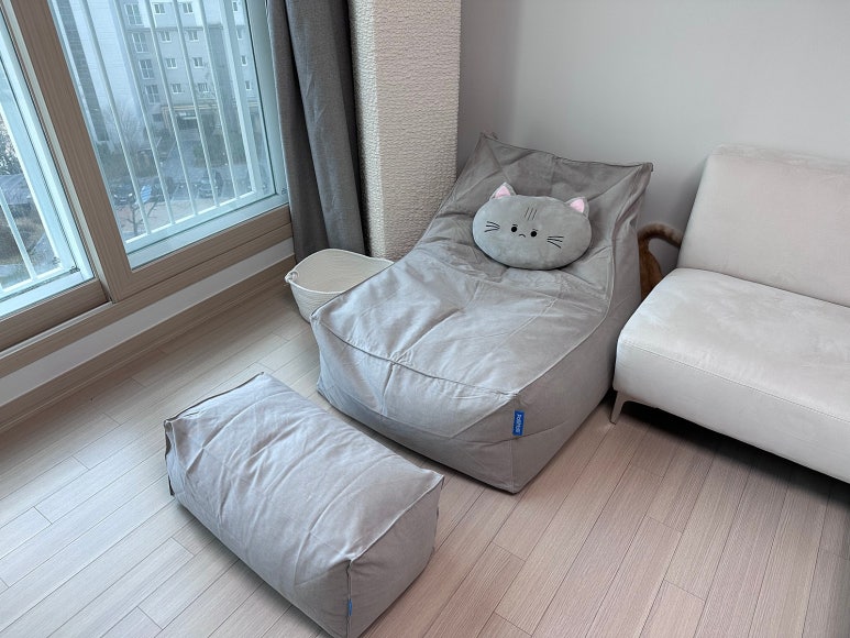 폴리몰리 이미지