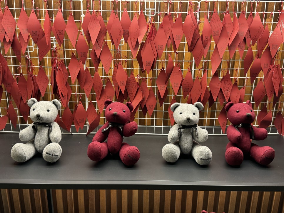 삼성사진관 이미지