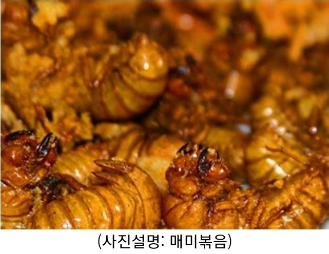 오늘식품 이미지