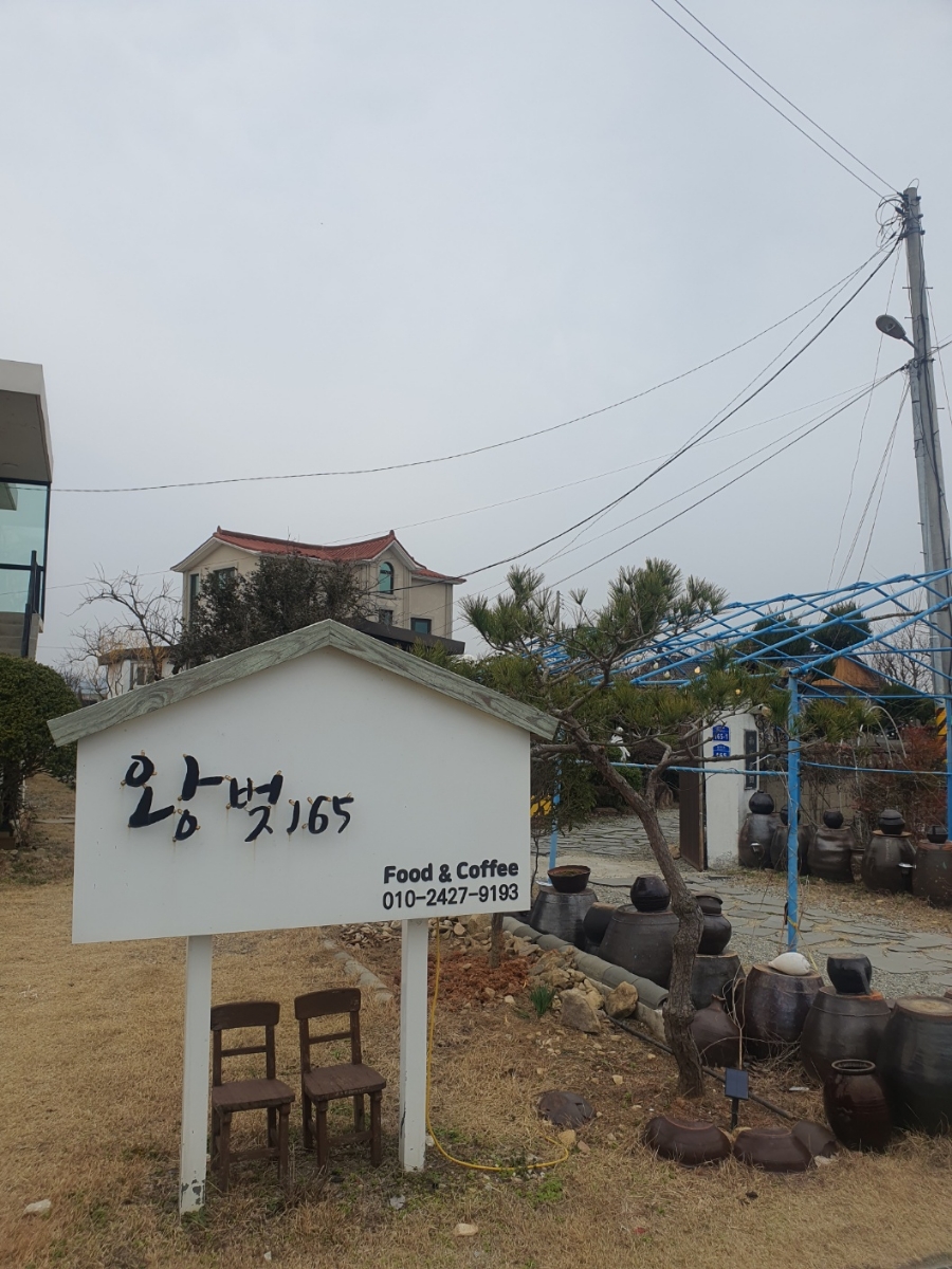 왕벚165 이미지