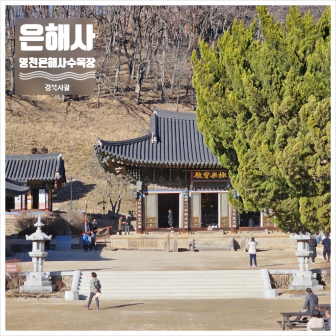 수림장 이미지