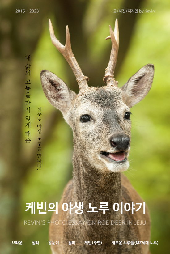 앨범이야기 이미지