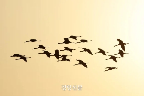 두루미사진관 이미지