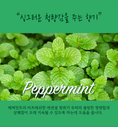 클린온 이미지
