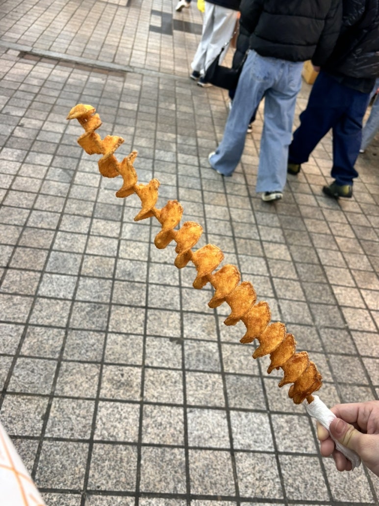속초회오리감자 이미지
