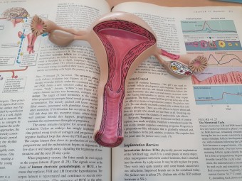 대하의원 이미지