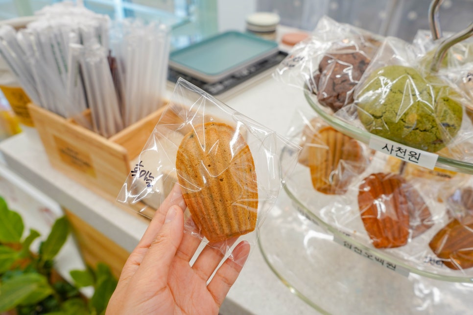 도전리549 이미지