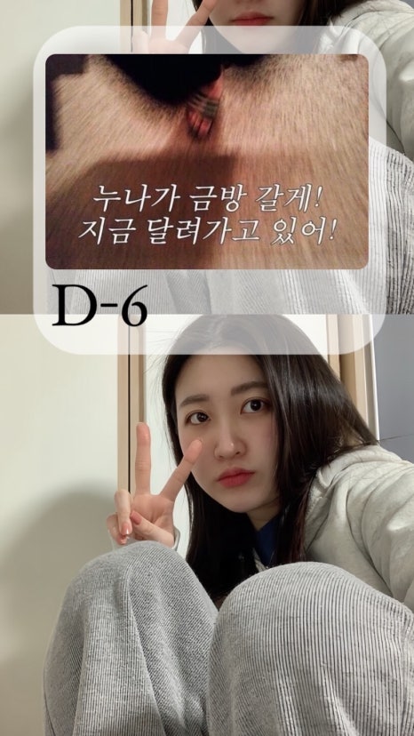 요미헤어 이미지