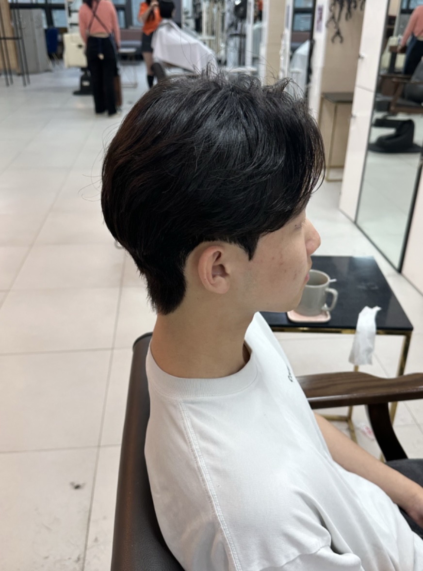 세미하임 이미지