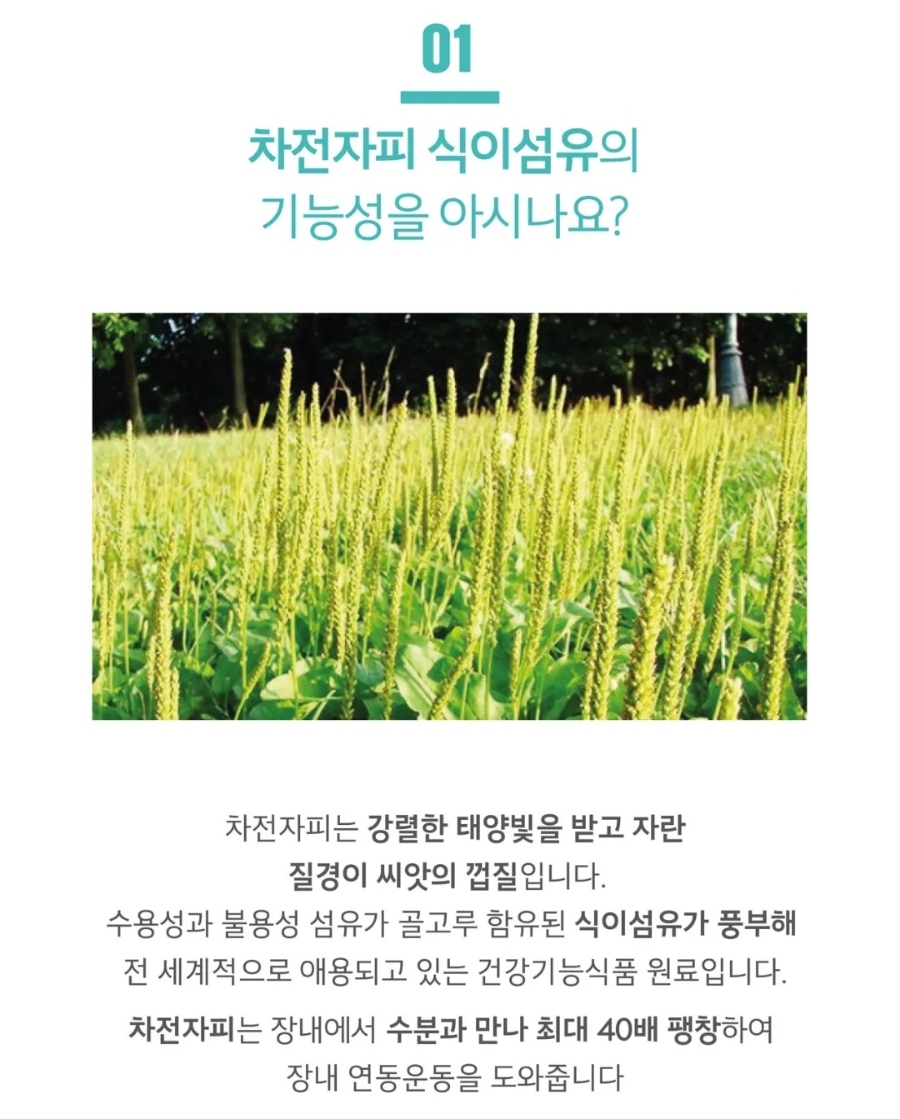 트윈스킨 이미지